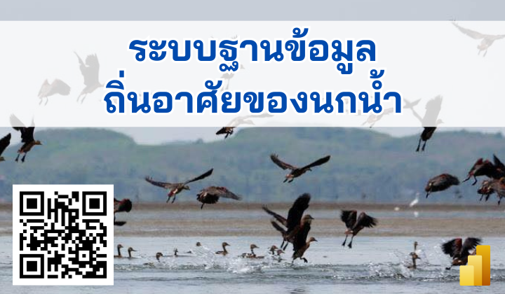 ถิ่นอาศัยของนกน้ำ