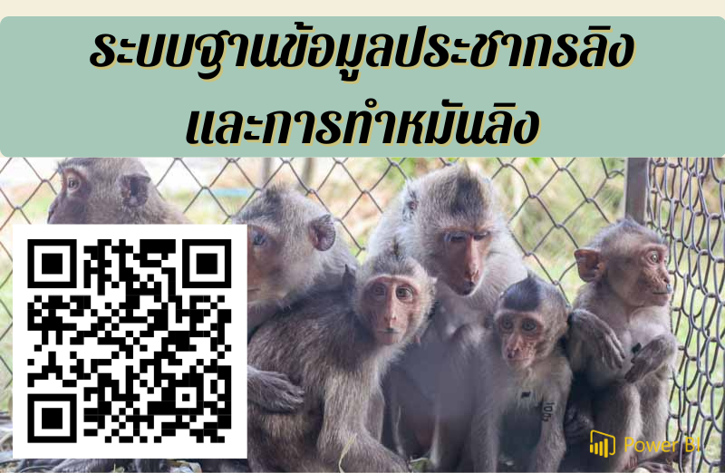 ประชากรลิงและการทำหมันลิง