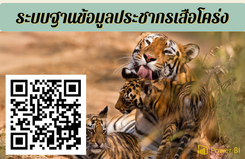 ประชากรเสือโคร่ง