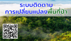 ระบบติดตามการเปลี่ยนแปลงพื้นที่ป่า