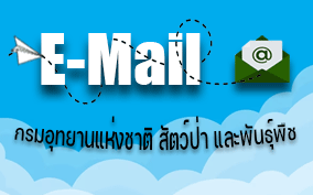ระบบจดหมายอิเล็กทรอนิกส์ อส (DNP E-Mail)