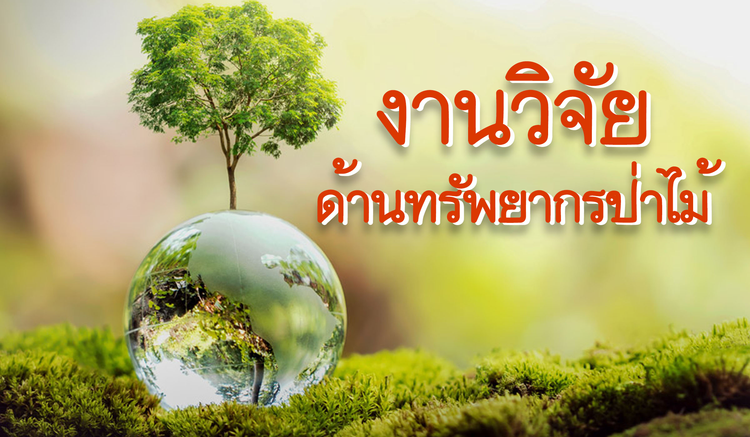 งานวิจัยด้านทรัพยากรป่าไม้